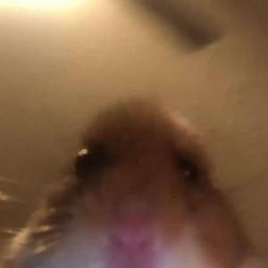 Meet your Posher, Fritz